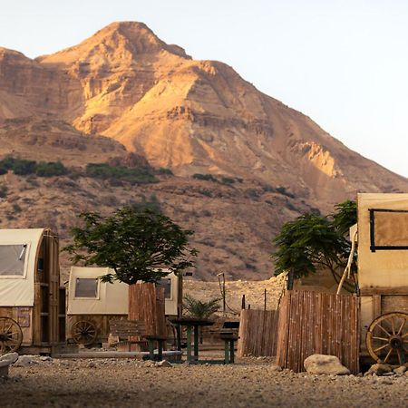 Отель Badolina Ein Gedi Glamping Экстерьер фото