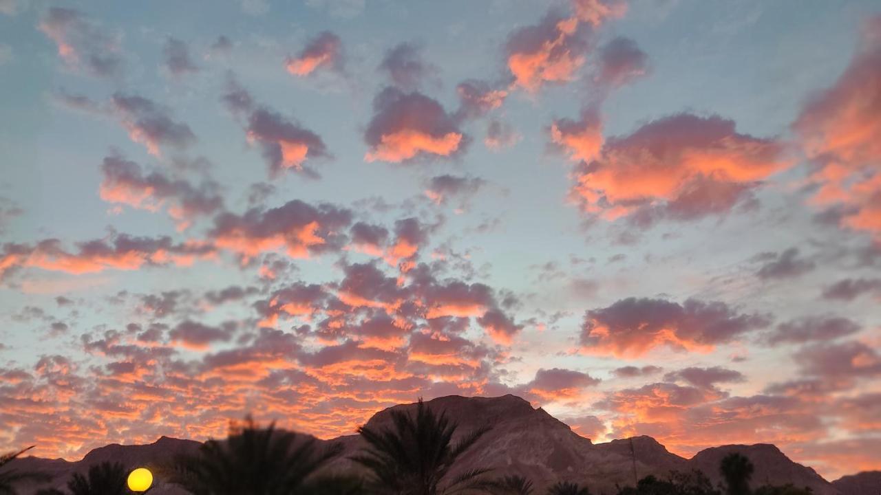 Отель Badolina Ein Gedi Glamping Экстерьер фото