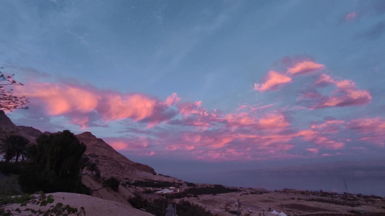 Отель Badolina Ein Gedi Glamping Экстерьер фото
