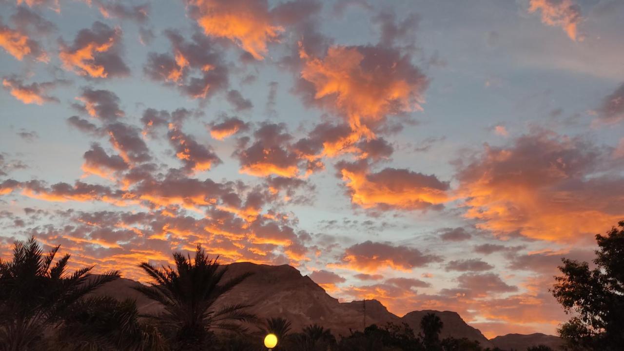 Отель Badolina Ein Gedi Glamping Экстерьер фото