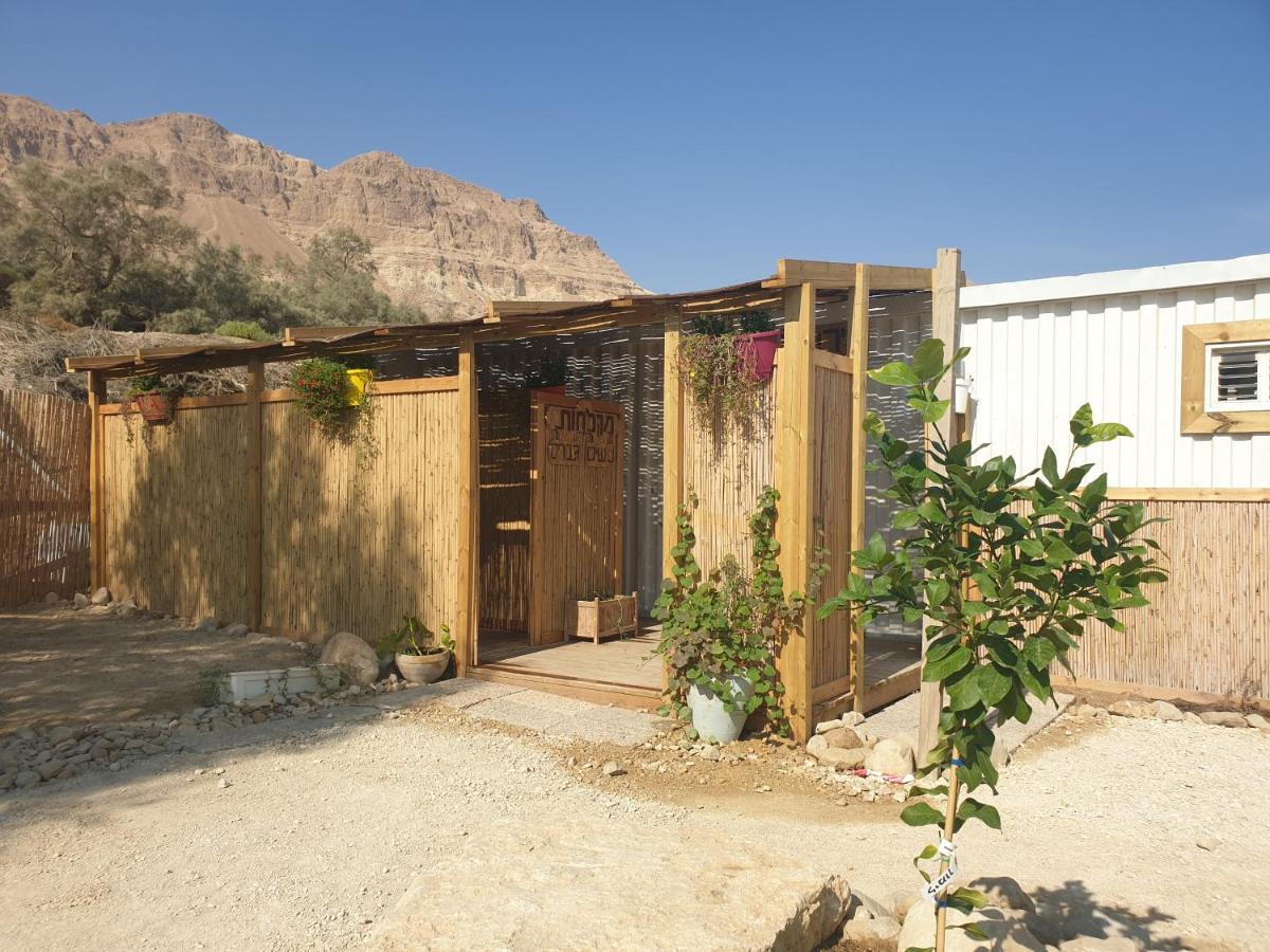 Отель Badolina Ein Gedi Glamping Экстерьер фото