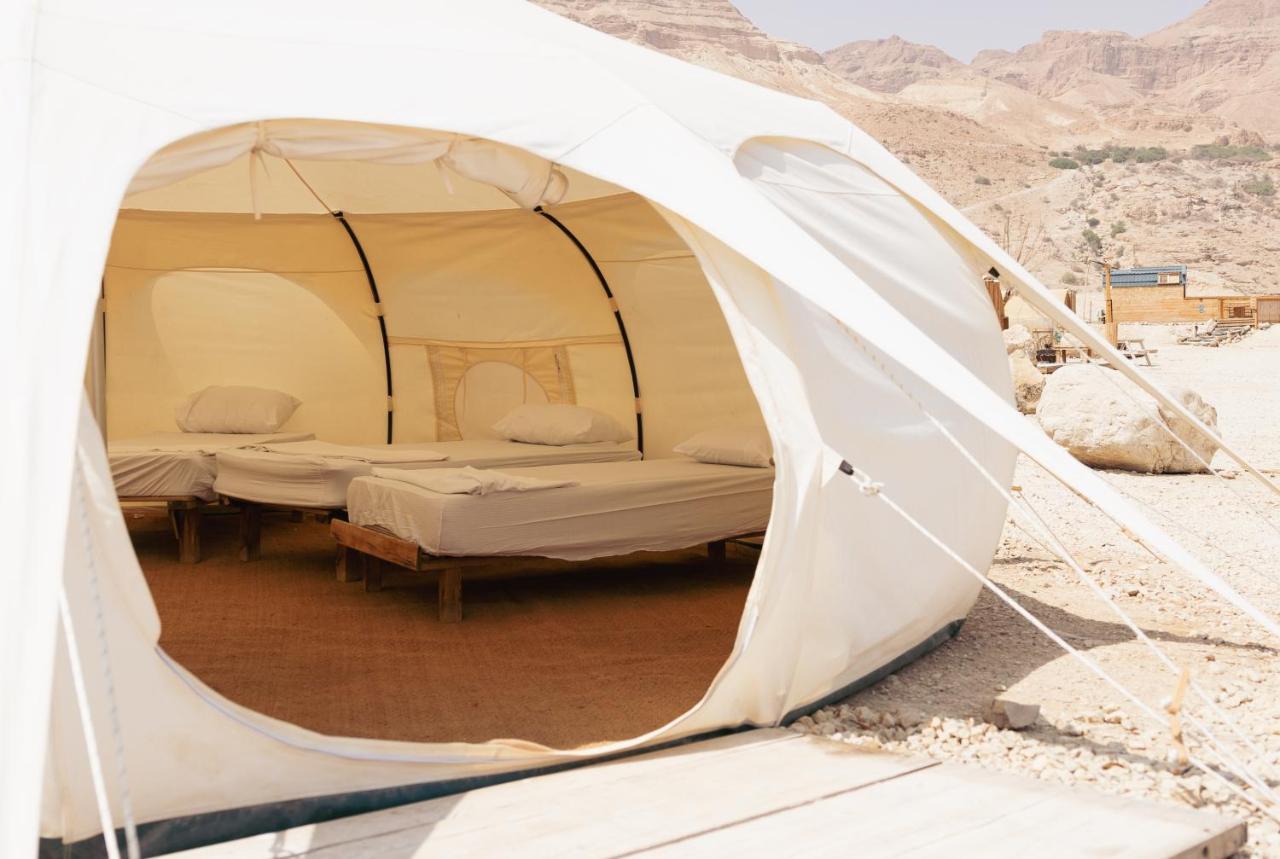 Отель Badolina Ein Gedi Glamping Экстерьер фото