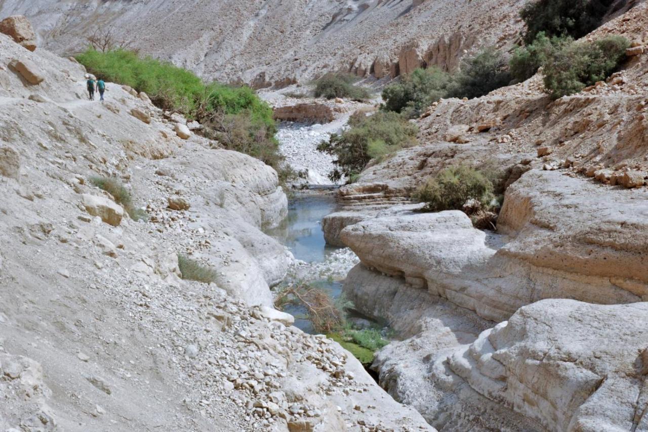 Отель Badolina Ein Gedi Glamping Экстерьер фото