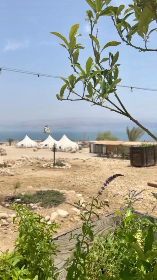 Отель Badolina Ein Gedi Glamping Экстерьер фото