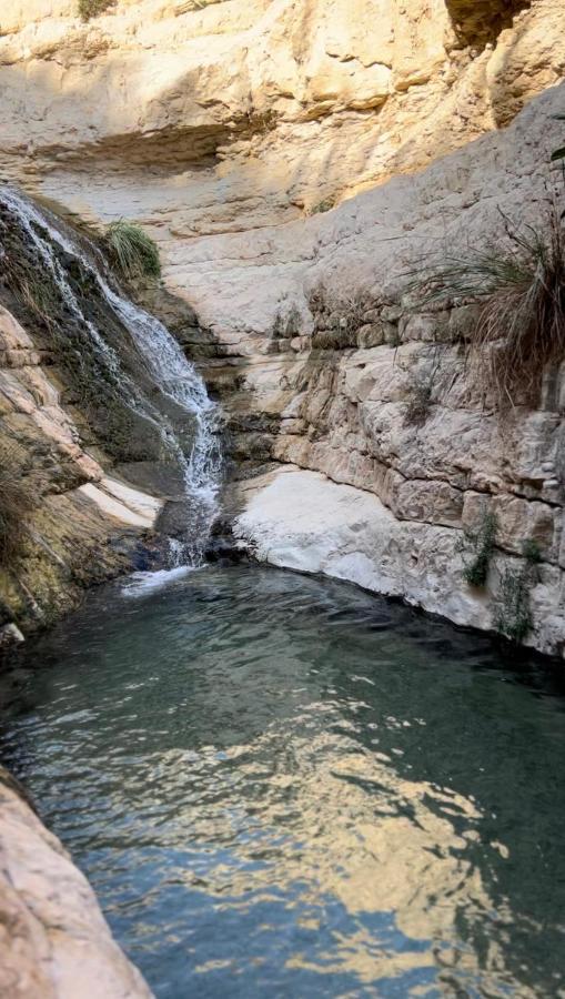 Отель Badolina Ein Gedi Glamping Экстерьер фото