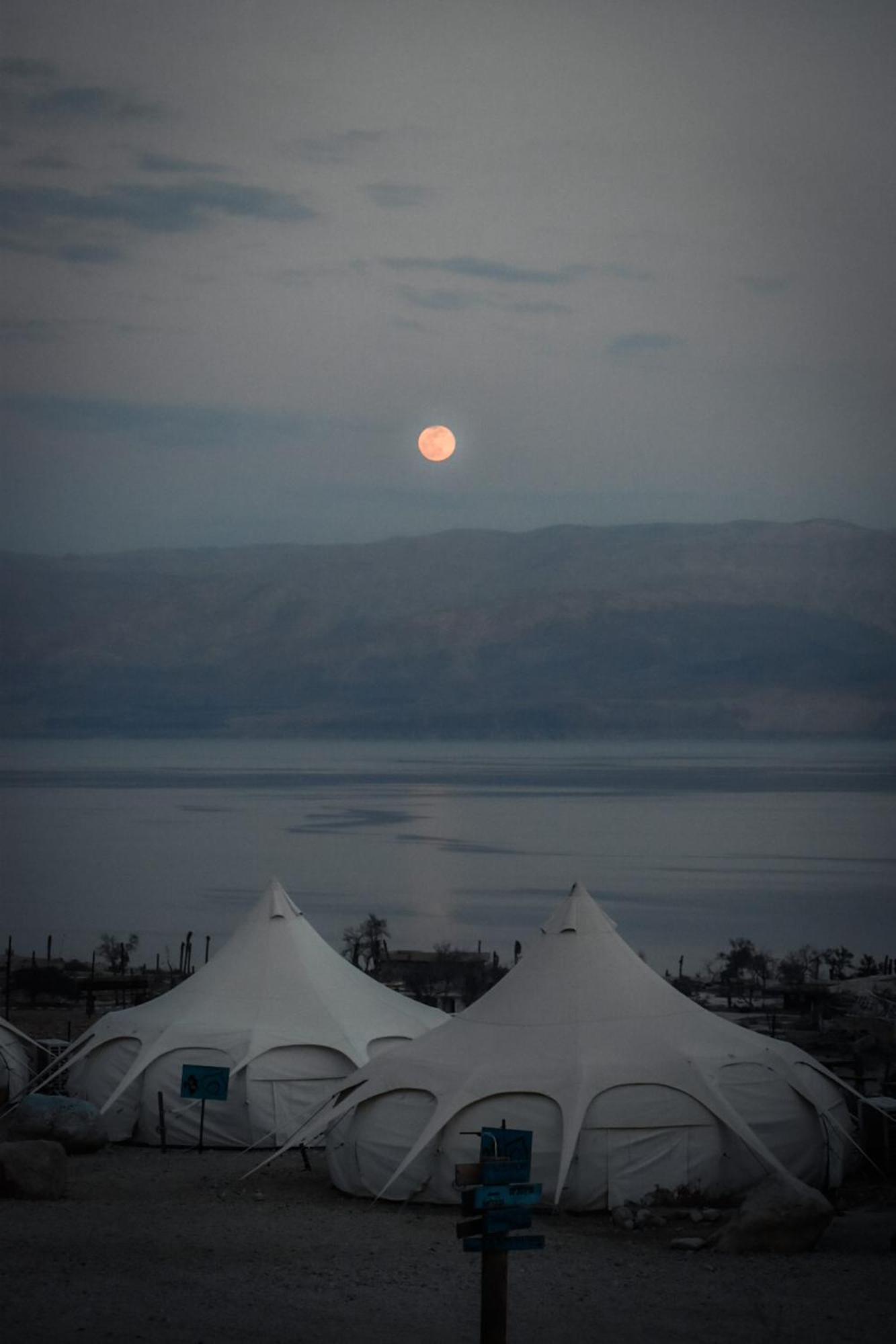 Отель Badolina Ein Gedi Glamping Экстерьер фото