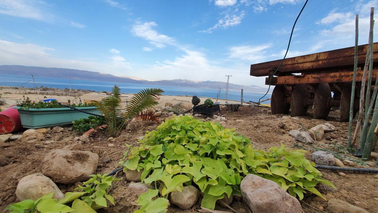 Отель Badolina Ein Gedi Glamping Экстерьер фото